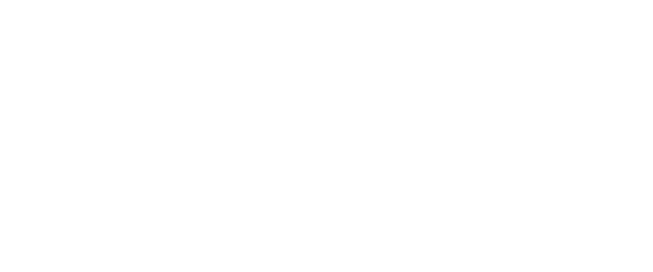 VYASSYS company logo